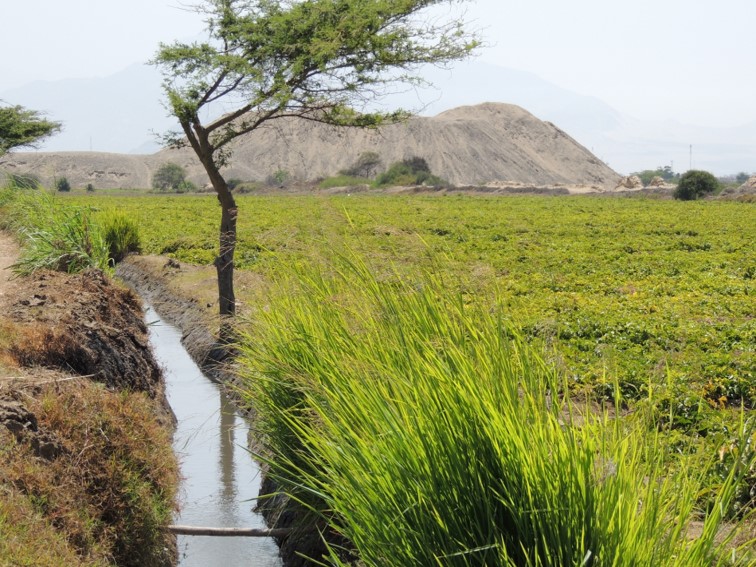 HUACA OBISPO